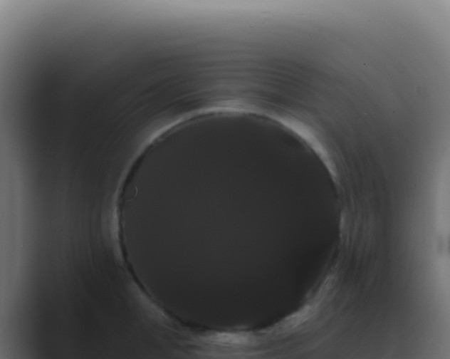 X0000089760998200706281640