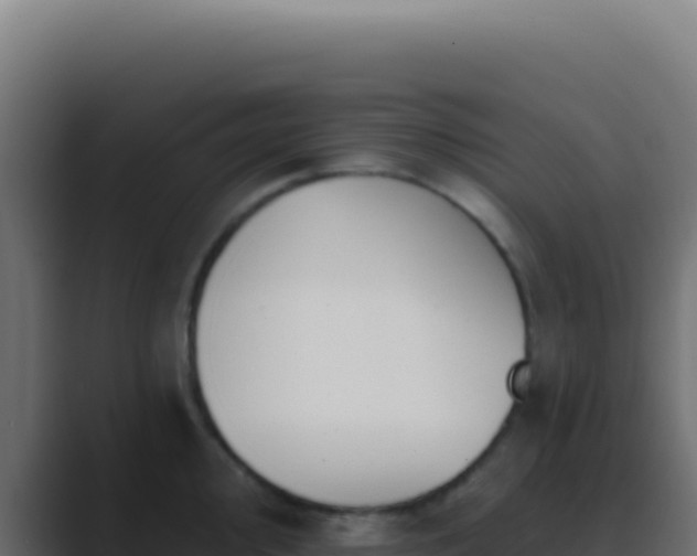 X0000089761000200706281640