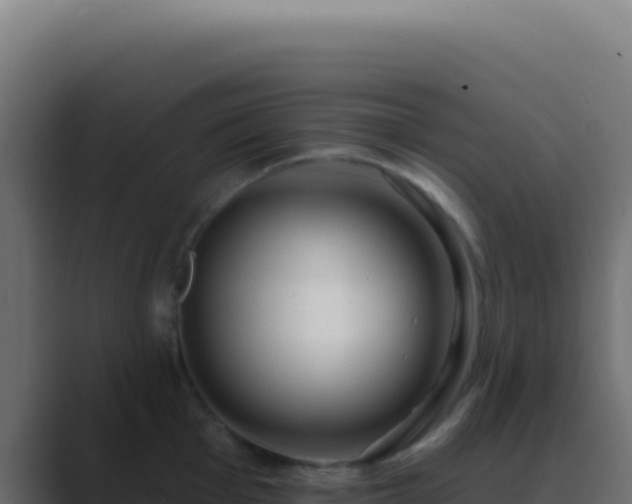 X0000089761001200706281640