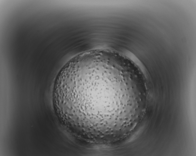 X0000089761002200706281640