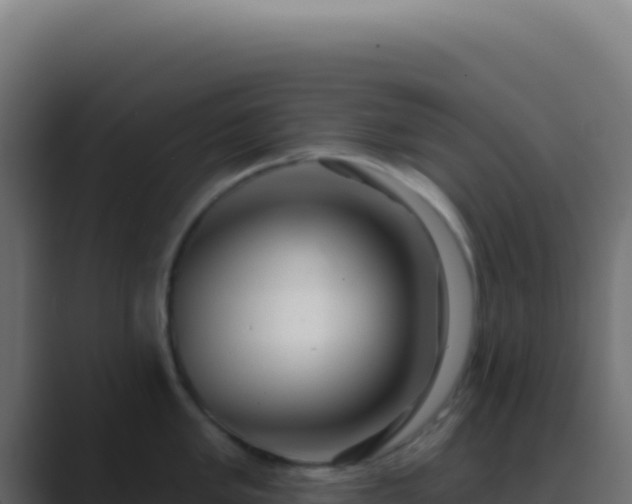 X0000089761005200706281640