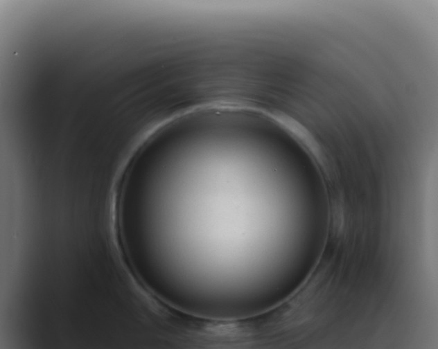 X0000089761006200706281640