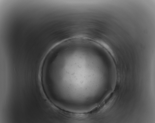 X0000089761007200706281640