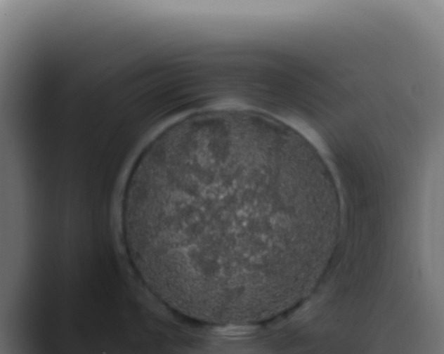 X0000089761008200706281640