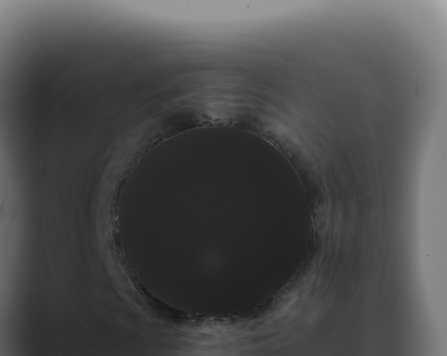 X0000089761009200706281639