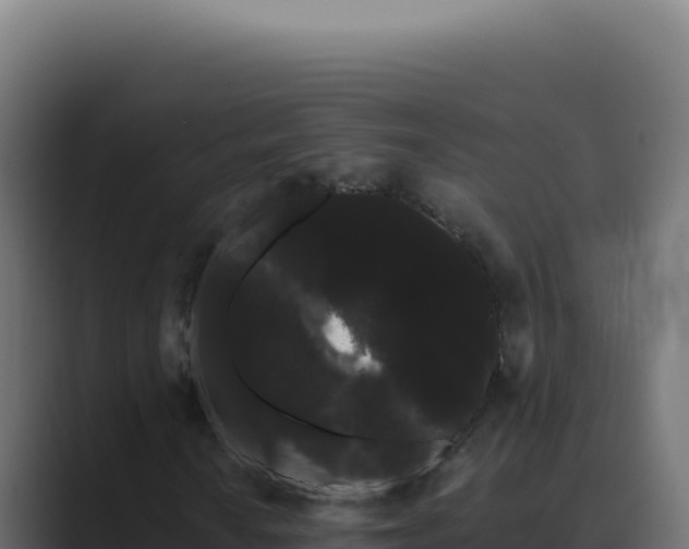 X0000089761010200706281639