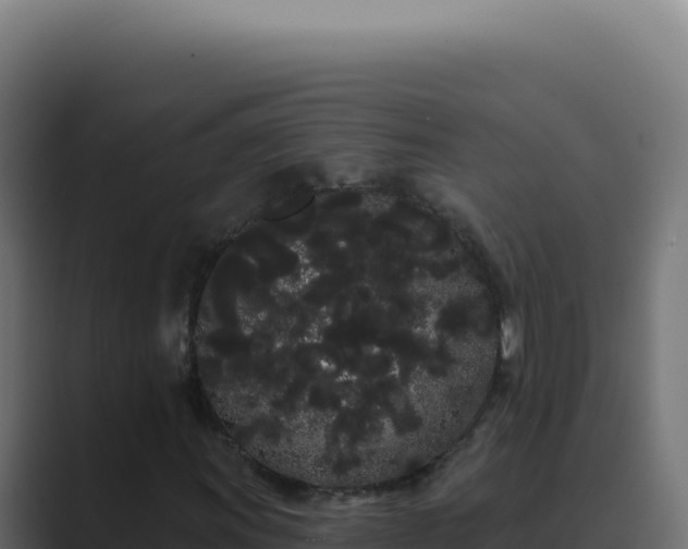 X0000089761011200706281639