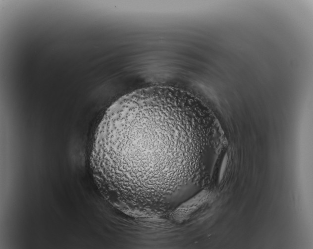 X0000089761012200706281639