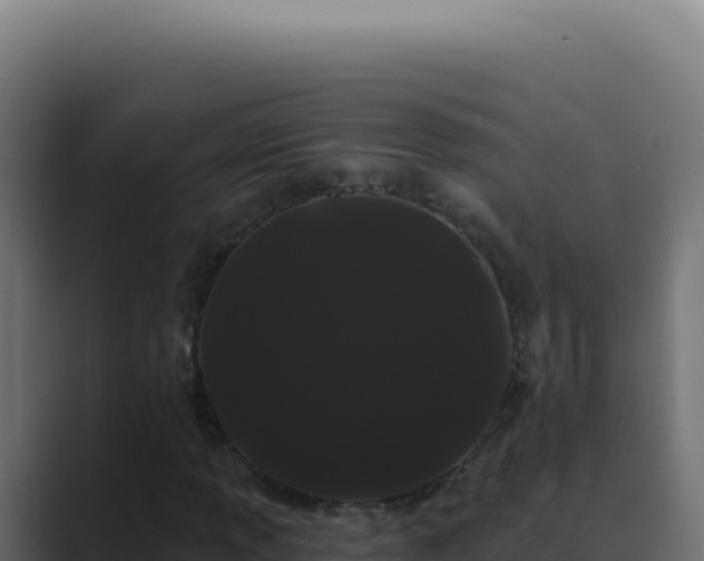 X0000089761013200706281639
