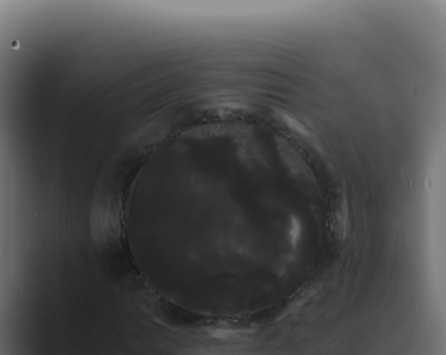 X0000089761014200706281639