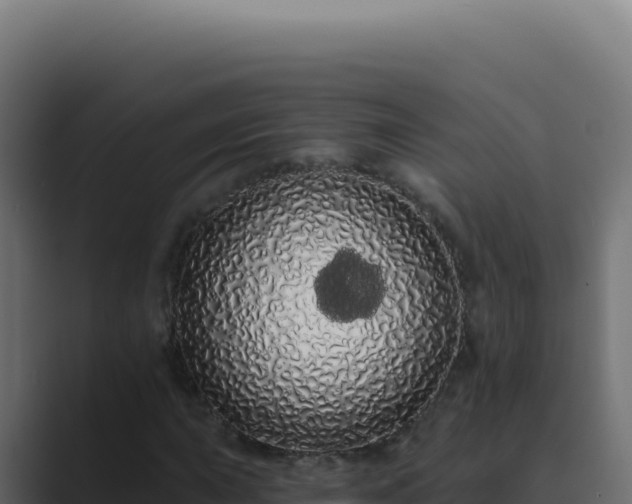 X0000089761015200706281640