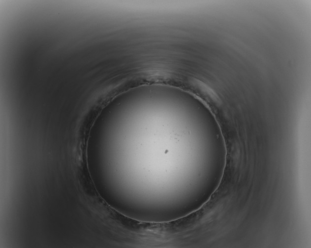 X0000089761016200706281640