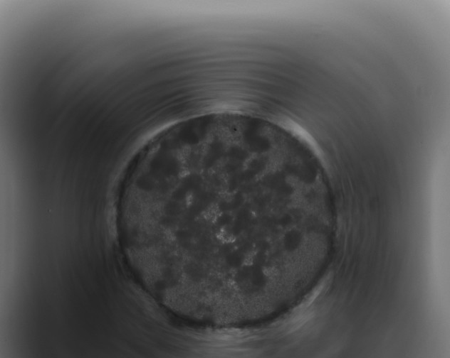 X0000089761019200706281640