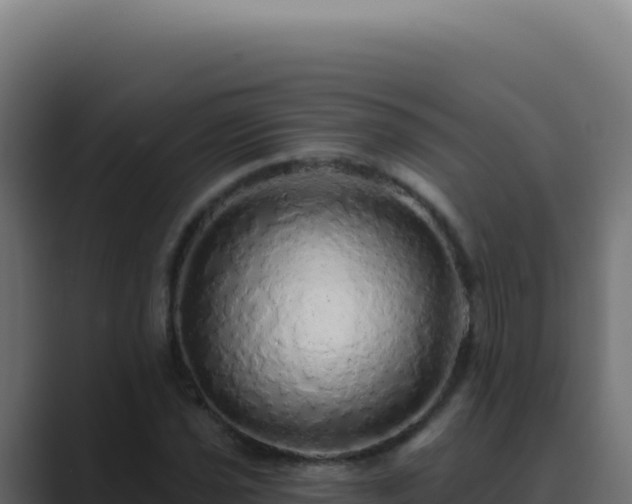 X0000089761021200706281640