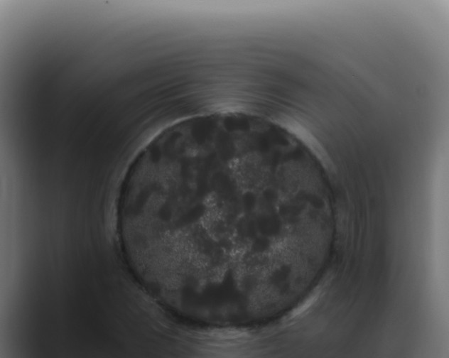 X0000089761023200706281640