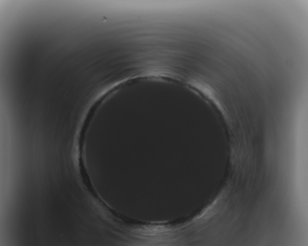 X0000089761024200706281640