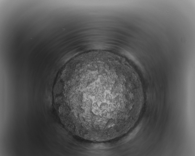 X0000089761025200706281640