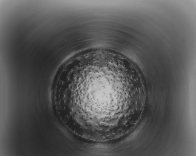 X0000089761029200706281640