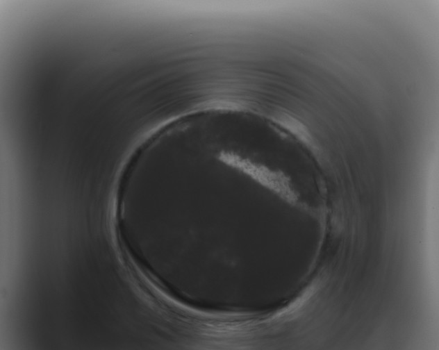 X0000089761030200706281640