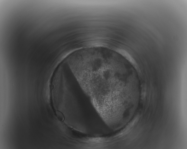 X0000089761031200706281640