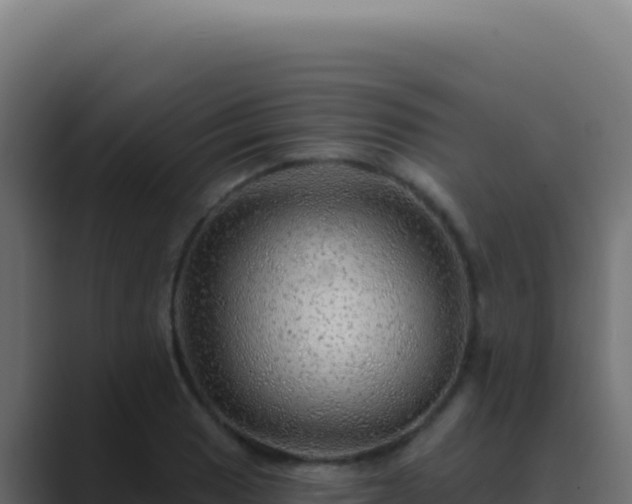 X0000089761033200706281640