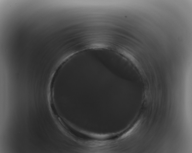 X0000089761034200706281640