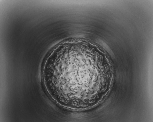 X0000089761036200706281640