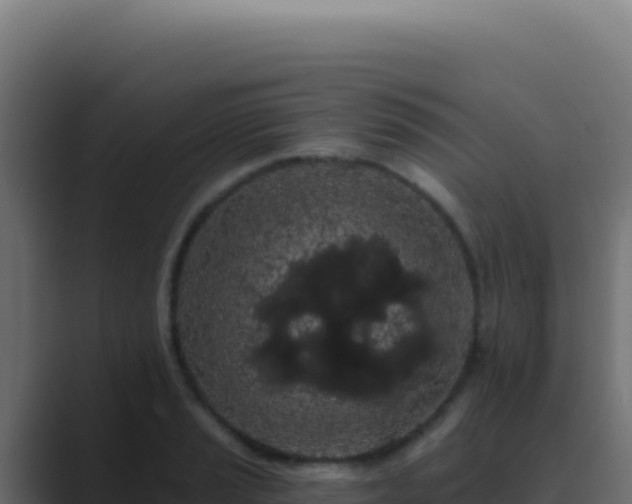 X0000089761037200706281640