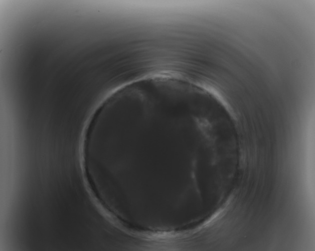 X0000089761038200706281640