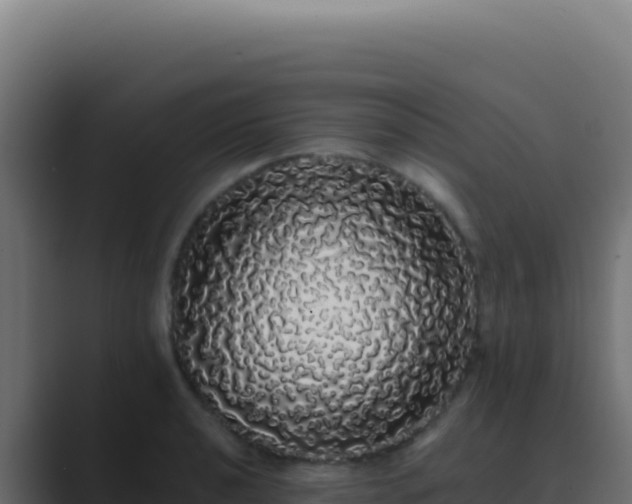 X0000089761040200706281640