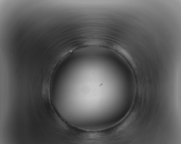 X0000089761041200706281640