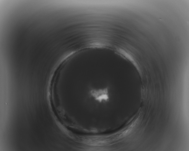 X0000089761042200706281640