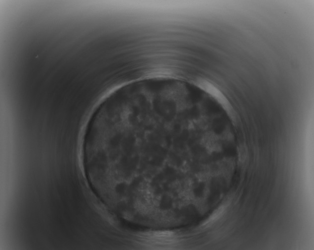 X0000089761043200706281640