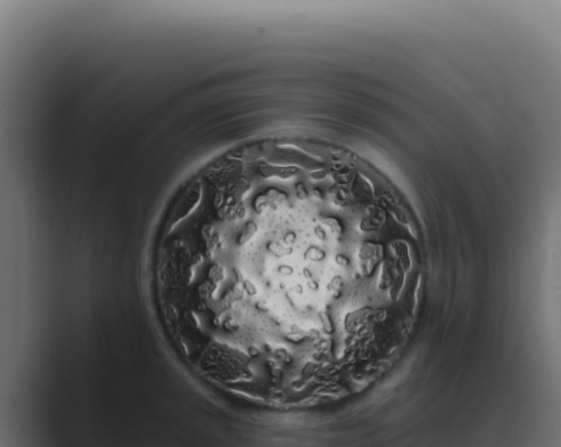X0000089761045200706281640