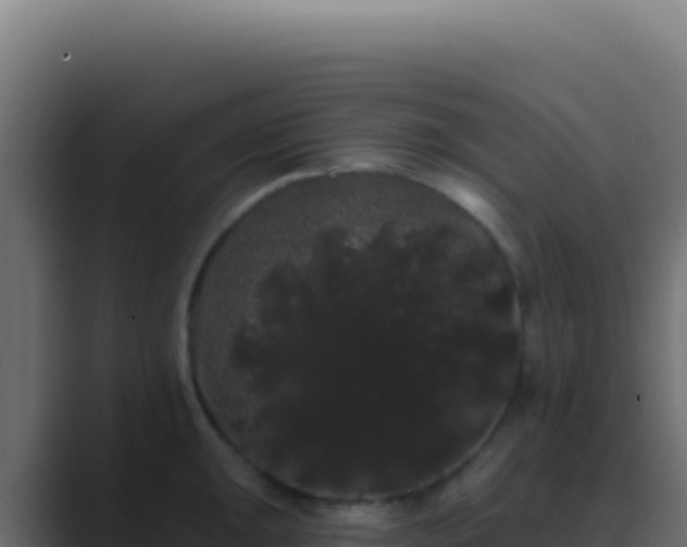 X0000089761047200706281640