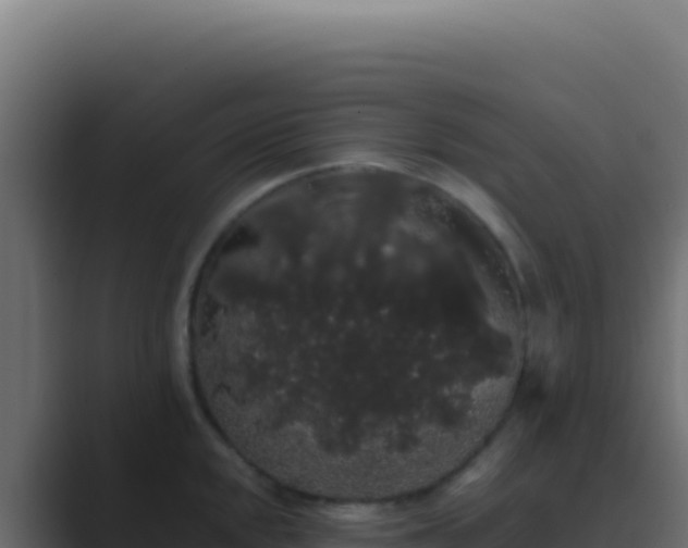 X0000089761048200706281640