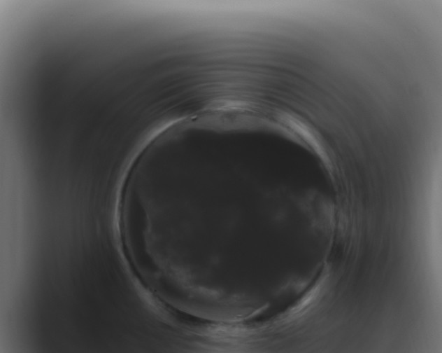 X0000089761050200706281640