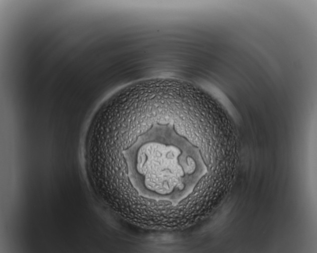 X0000089761051200706281640