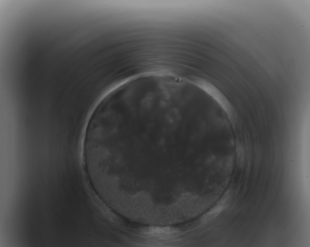 X0000089761052200706281640