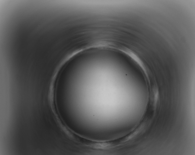 X0000089761053200706281640