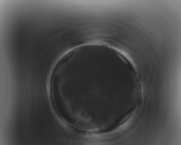 X0000089761054200706281640
