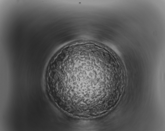 X0000089761056200706281640