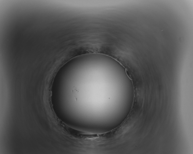 X0000089761057200706281639