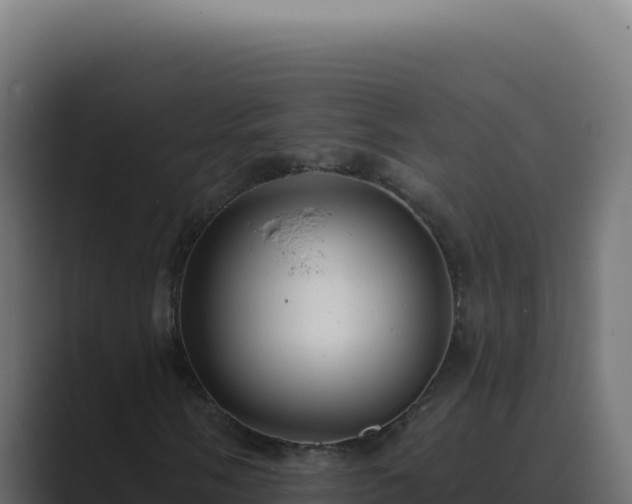 X0000089761058200706281639