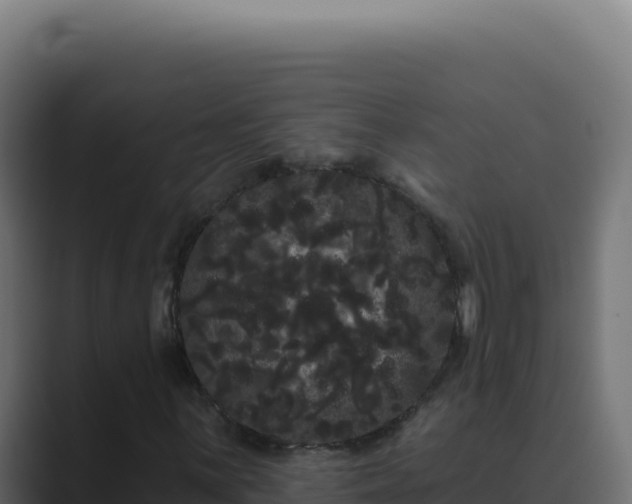 X0000089761059200706281639