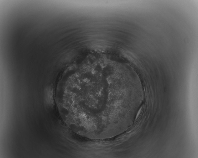 X0000089761060200706281639