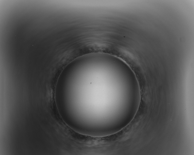 X0000089761061200706281639