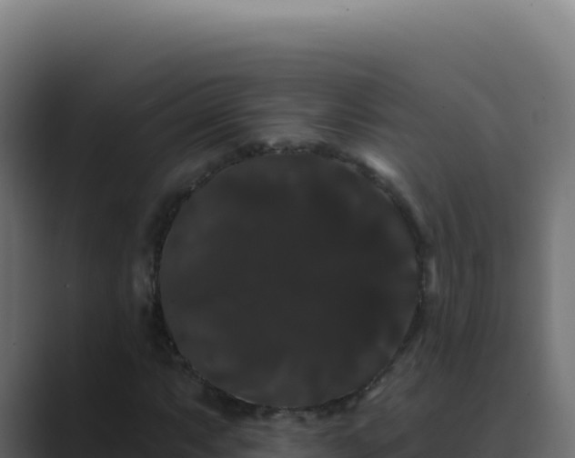 X0000089761063200706281639