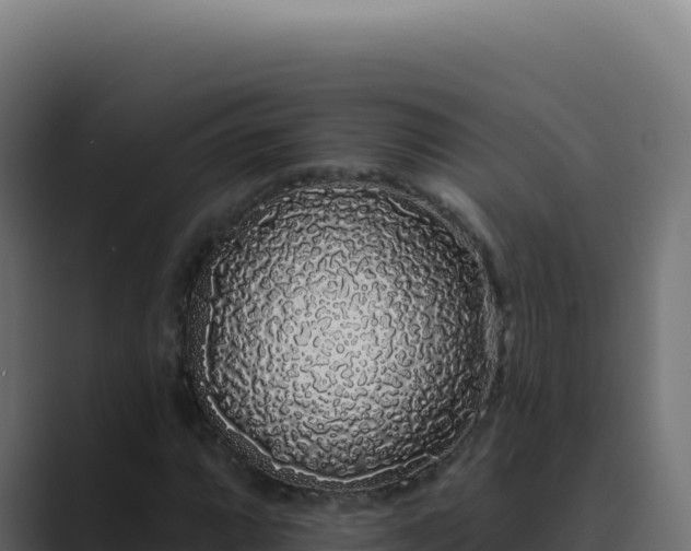 X0000089761064200706281639