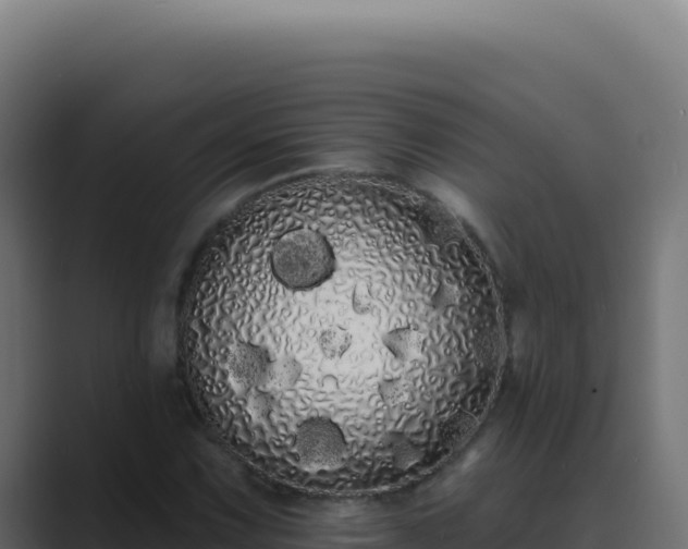 X0000089761067200706281639